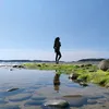 tee.emx