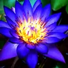 tiktok.com.thanh61