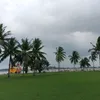 m.y.p_