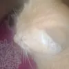 muhahahahhshahahaha