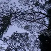 sprclfrglstc.xpldc8