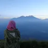 piyulisme