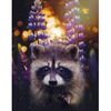 lavenderracoon23