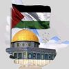 nabilbadawy4