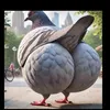 artemkatop_0311