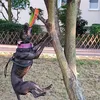 rio.apbt