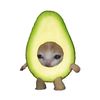 _oororo