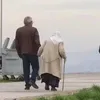 arazjmuhammad