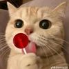 usermikyaw5