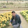 kashif4479