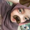 gwsukamieayam4