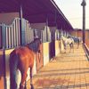 sultanabdu7