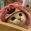 kiyollllllll