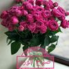 noura7_15