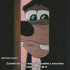el.simsonp
