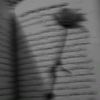 yasminsalh36