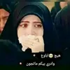 fatimaabdul53