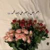 roz.rozita22