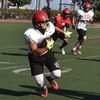 frenzy504