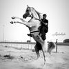 strong_horse1