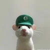 vannhoaianh