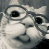 shacuk_