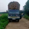 phamvanthai123