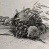 flawerflawerflawer
