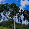 aljufri004