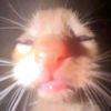 _lumenexspecto