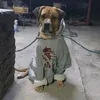 atcel_8