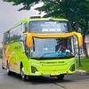official.bebeb001