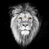ileoq8