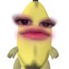 njmsgf_