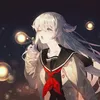 zio_sk31