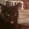 www.tiktok.comneon3