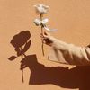 gh.alqahtani