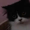 itz_straberry03