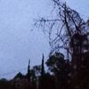 darieli_2.8