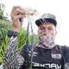 jengohunterbesut