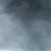 jonas_mxll