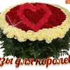 user5162814905832