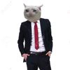 the_little_nerd