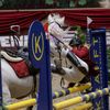 Showjumper😬🫨