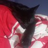 michi1608_