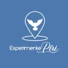 experimente piri