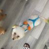tuanguyrn0907