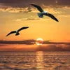hossamfathi30