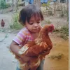 joaoguilherme4002