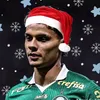 vinicius.antonino04